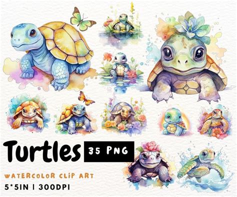 Chubby Turtle Art - Etsy