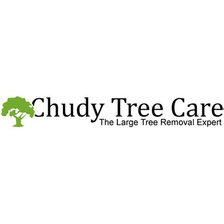 Chudy Tree Care - 35580 Ave G, Yucaipa, CA 92399