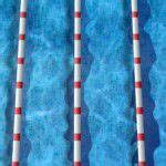 Church Hill Stingrays win East Tennessee Summer Swim League ...