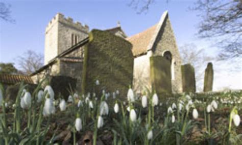 Churchyards - Norfolk Wildlife Trust