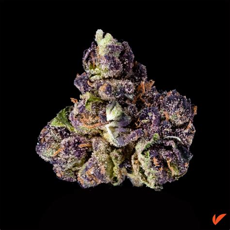 Blueberry Muffin continues to grow nationally because of its fabulous genetics from a top breeder. Humboldt Seed Co crossed Blueberry x Purple Panty Dropper x Razzle Berry, and refined the strain ...
