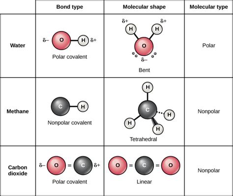 Chemical bond polarity is the concept that explains the