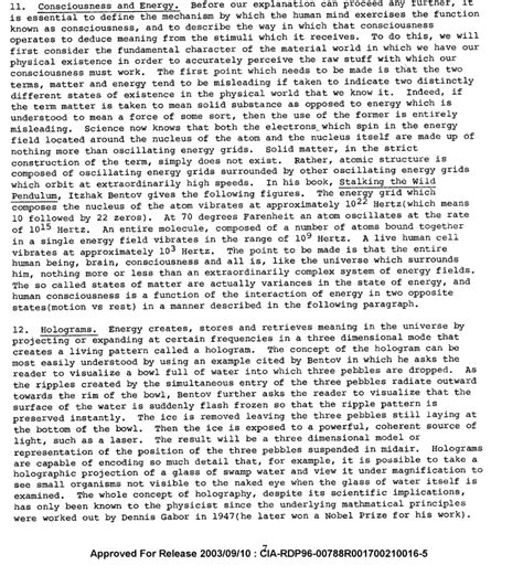 The fact that an official goddamn CIA document is corroborating that experience is just unbelievable. ... That hologram is a mirror image of the Absolute in infinity still exists outside time and space but is one step removed from the Absolute and is the actual agent of all creation(all reality).". 
