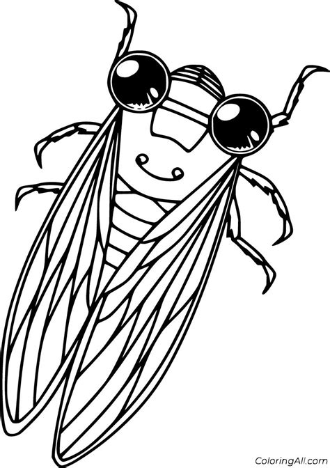 Cicada Coloring