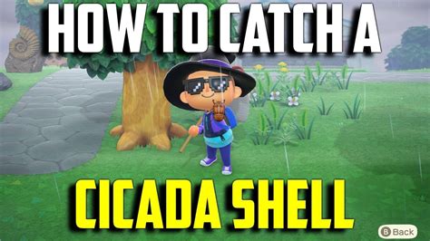Cicada shell acnh. Aug 11, 2020 · The cicada shell isn’t actually an insect — it’s the shell that a cicada has left behind. Even though the cicada shell isn’t a living bug, it still counts as a regular insect in the game’s bug collection. Here’s everything you need to know about finding and “catching” a cicada shell in Animal Crossing: New Horizons! 