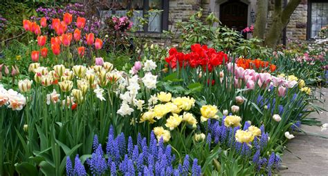Cicekler Halı ve Koltuk Yıkama