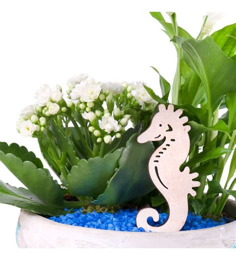 Cicekli Halı ve Koltuk Yıkama