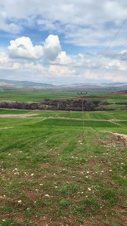 Cicekpinari Halı ve Koltuk Yıkama