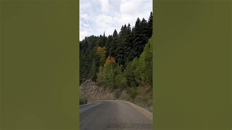 Cicekyayla Halı ve Koltuk Yıkama