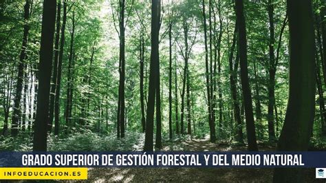 Ciclos Fp de Gestión Forestal y del Medio Natural en Gran …