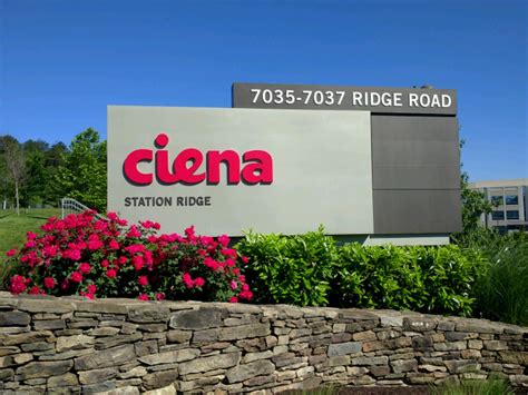 Global Sales and Ciena Corporate. • Responsible for driving Ci