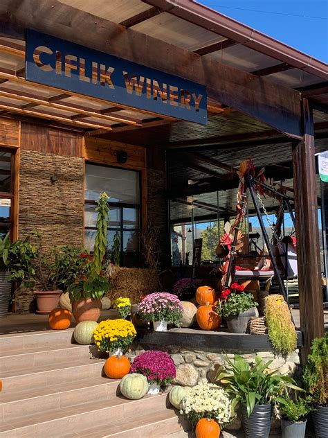 Ciflik Halı ve Koltuk Yıkama