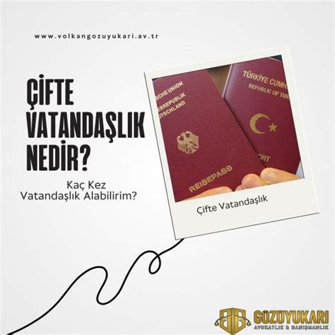 Cifte Halı ve Koltuk Yıkama