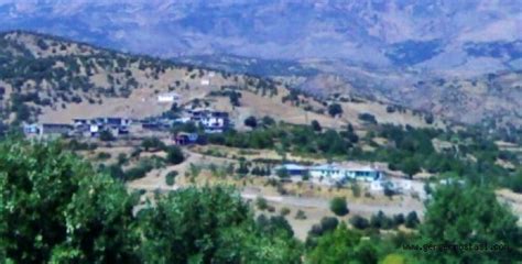 Cifthisar Halı ve Koltuk Yıkama