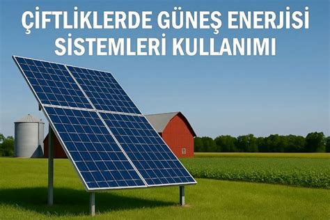 Ciftlikler Halı ve Koltuk Yıkama