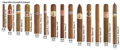 Cigar Shapes, Sizes & Ring Gauge Explained JR Blending Room