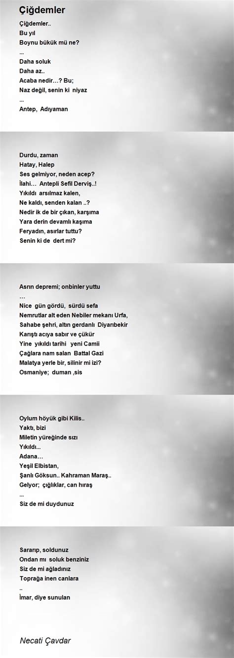 Cigdemler Halı ve Koltuk Yıkama