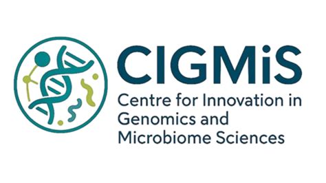 Cigmis Halı ve Koltuk Yıkama