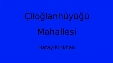 Ciloglanhuyugu Halı ve Koltuk Yıkama