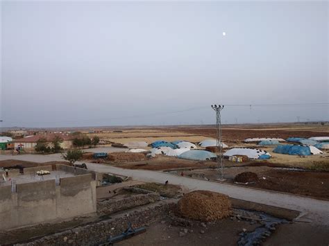 Cimlihoyuk Halı ve Koltuk Yıkama