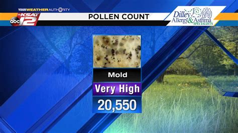 Web app displaying pollen and mold count forecast data, anywhere in North America and Europe. San Antonio Pollen Count Forecast Get local allergy forecasts for grass pollen, ragweed pollen, tree pollen, mold count and air quality index for San Antonio, TX.