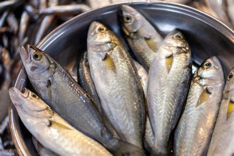 Cinekop Halı ve Koltuk Yıkama