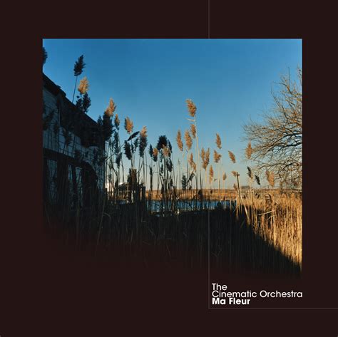 Cinematic orchestra to build a home. Nov 23, 2019 ... The Cinematic Orchestra, "To Build A Home" – Ma Fleur, 2007. audio. The Cinematic Orchestra, "Arrival of the Birds" – The Crimson Wing ... 