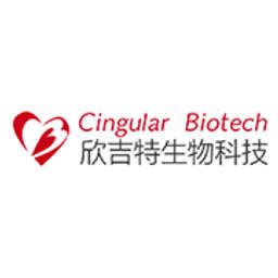 Cingular Biotech Ltd - Company Profile and News