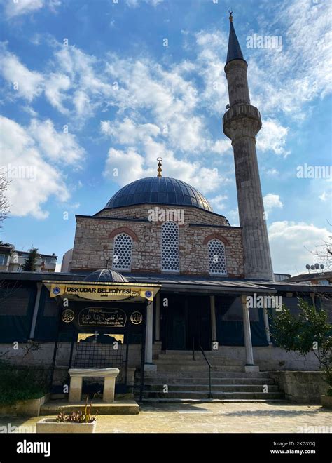 Cinili Halı ve Koltuk Yıkama