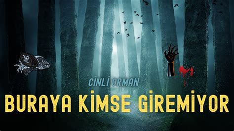 Cinli orman YouTube.