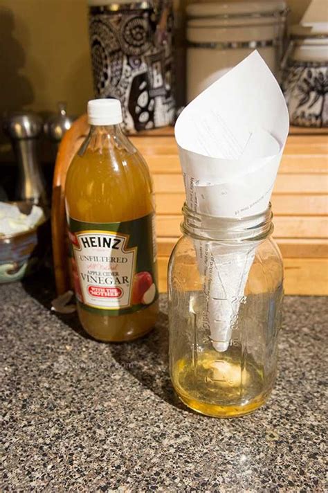 Cinnamon to get rid of flies. Pine oil can also be soaked in cotton balls and placed in a bowl to help keep flies away from window seals in basements and attics. 10. Vinegar and Dish Soap. Mixing apple cider vinegar with dish soap will trap and kill flies. In a tall glass, mix about one inch of apple cider vinegar with a few drops of dish soap. 