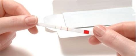 Cinsiyet belirleme testi .