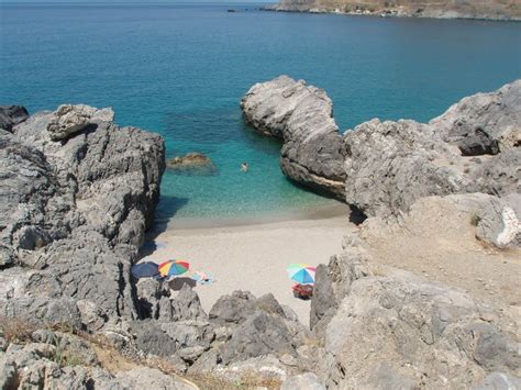 Ciplaklar Halı ve Koltuk Yıkama