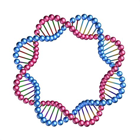 Circle dna. Things To Know About Circle dna. 