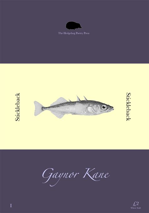 Download Circling The Sun Stickleback 1 By Gaynor Kane