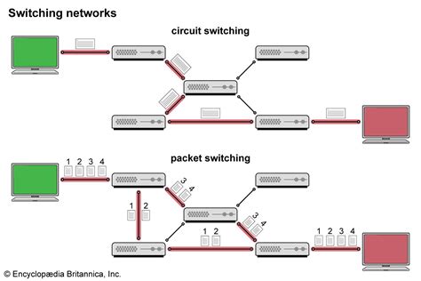 Circuit And Networks