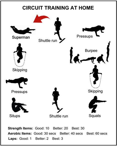 Circuit Training for Muscular Endurance - Village Gym