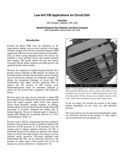 CircuitEditFIBApplication pdf