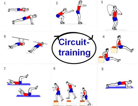 Circuittraining / Skigymnastik - Sportunterricht