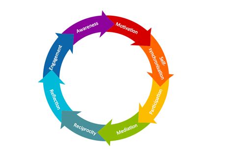 Circular Diagram Collaboration Life Cycle