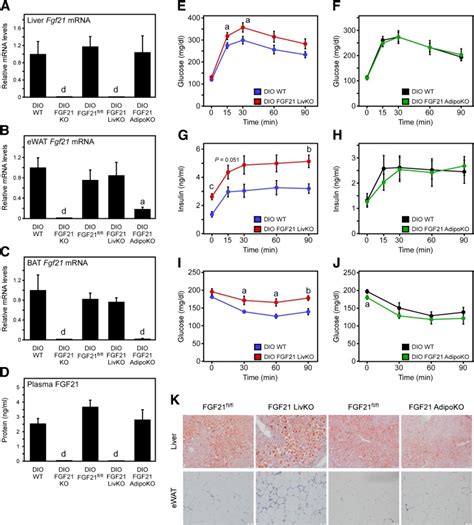 Circulating FGF21 Is Liver Derived and Enhances Glucose Uptake …