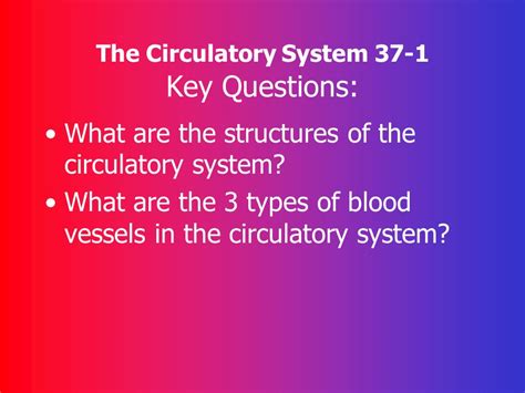 Circulatory Answer 37 System Key Chapter