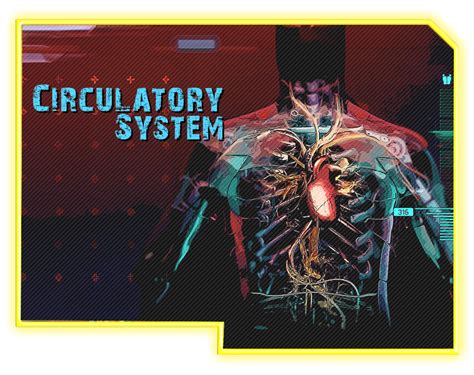 Circulatory System Cyberpunk 2077 Wiki