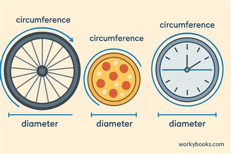 Circumference and diameter of household objects.  Record the diameter and ...