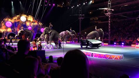 Circus dallas. Things To Know About Circus dallas. 