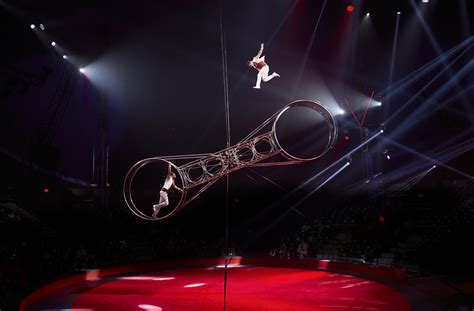 Circus vazquez. Things To Know About Circus vazquez. 