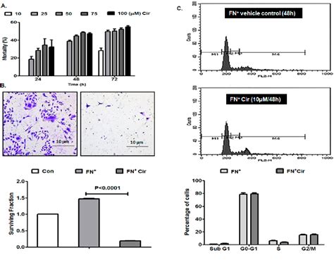 Cirsiliol Suppressed Epithelial to Mesenchymal Transition in …