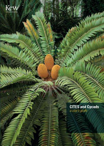 Cites and cycads a user s guide. - You are the placebo meditation volume 1 changing two beliefs and perceptions.