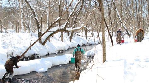Citizen scientists needed to see what happens in trout streams in winter