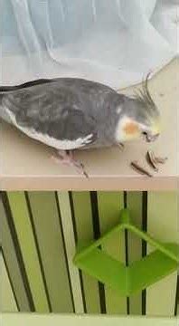 Citliyen Halı ve Koltuk Yıkama